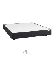 VISUEL_-_Primflex_20_-_2026
